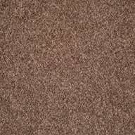 EspressoLakeshore Indoor Outdoor Carpet