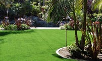 Landscape Turf