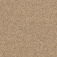 Chestnut Innovation Carpet Tile