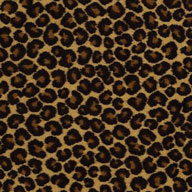 Keep The Pace Shaw Cheetah Carpet