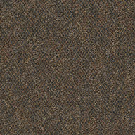 Sneak Peek Pentz Premiere Carpet Tiles