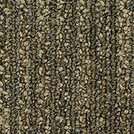 Transformation Pentz Revolution Carpet Tiles
