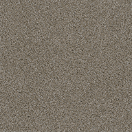 GraniteWalk in the Park Carpet Tile with Pad