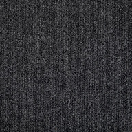 Black IceOceanside Indoor Outdoor Carpet