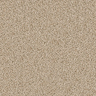 Canvas Shaw Floorigami Carpet Diem Carpet Plank