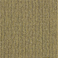 Moonbeam EF Contract The Brights Carpet Tile