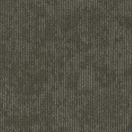 Inherent Shaw Biotic Carpet Tile