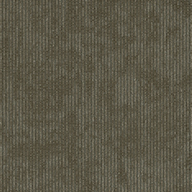 Distinction Shaw Biotic Carpet Tile