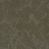 DistinctionShaw Esthetic Carpet Tile