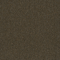 3131 Pecan  Pentz Uplink Carpet Tiles