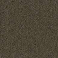 Brown Pentz Uplink Carpet