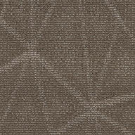 Sustainable Shaw Refine Carpet