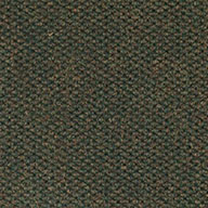 Crushed Olive Shaw Succession II Walk-Off Carpet Tile
