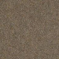 Sierra SandShaw Succession II Walk-Off Carpet Tile