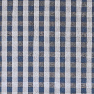 Blue and White Gingham Indoor Outdoor Area Rug