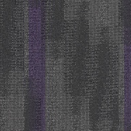Royal PurplePentz Magnify Carpet Tiles