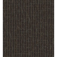 AdjureMohawk Clarify Carpet Tile