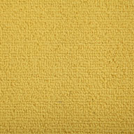 Citrus Shaw Color Accents Carpet Tile