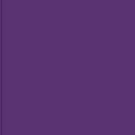 Purple - Quick ShipHome Wrestling Mats