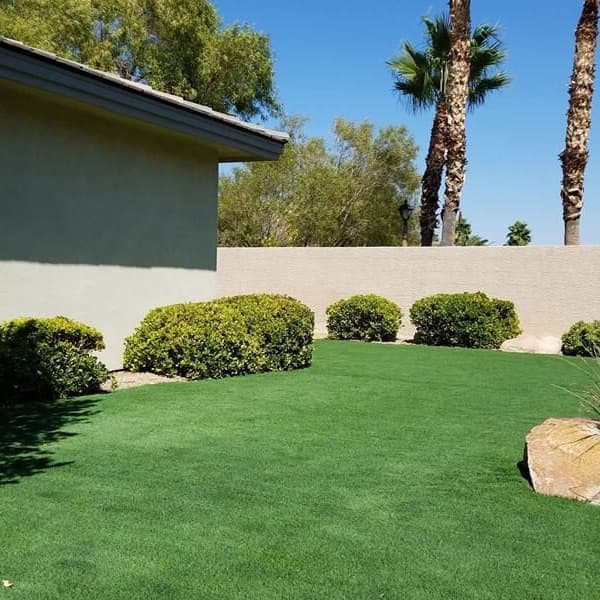Riviera Elite Turf Rolls — Lime/Emerald Green artificial grass in backyard
