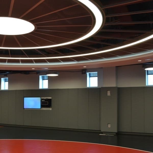 Gray wall pads in a gymnasium.