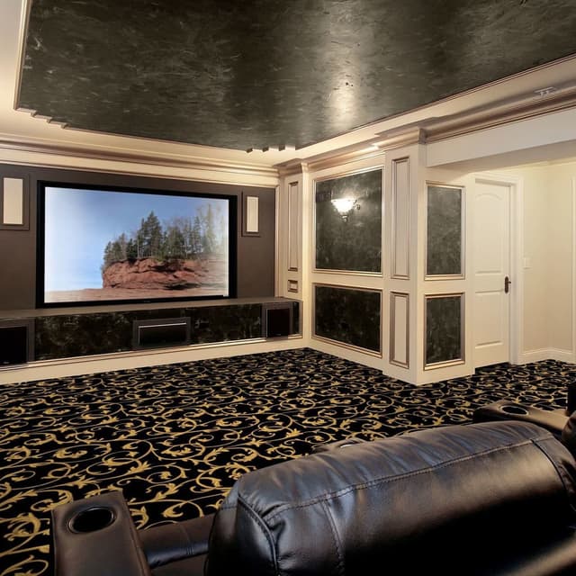 Home theater with black carpet featuring a gold scroll pattern