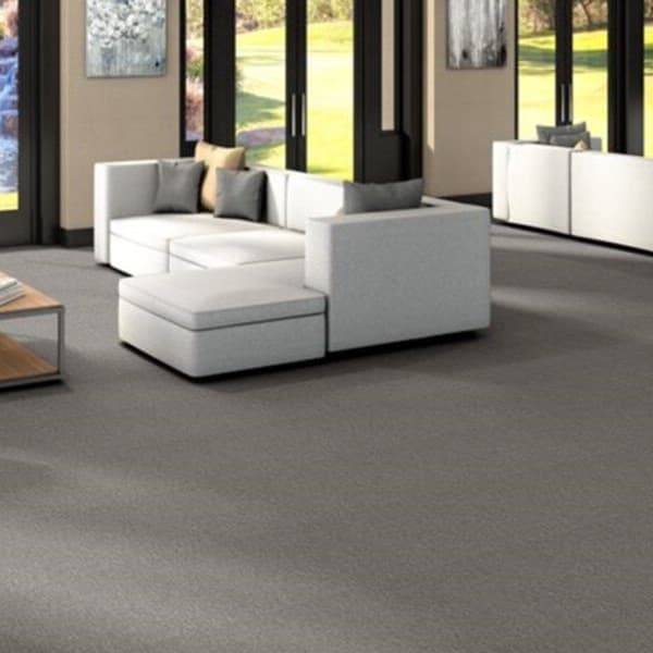 Shaw Profusion Carpet in Heaps — modern living room with gray carpet