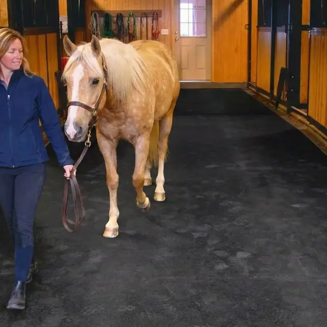 3/4" Diamond Top Horse Mats — black recycled crumb rubber flooring in a stable aisle
