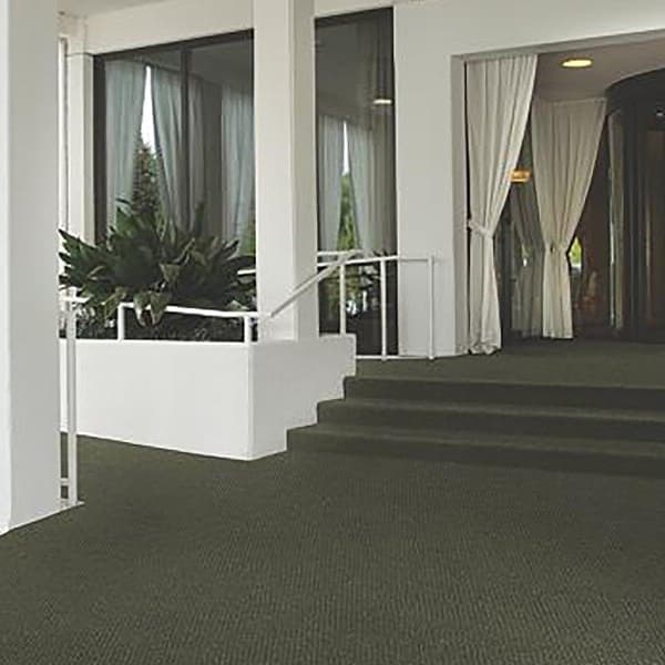 Shaw Succession II Outdoor Carpet in Dark Earth — covered entryway with steps and glass doors, carpeted floor surface