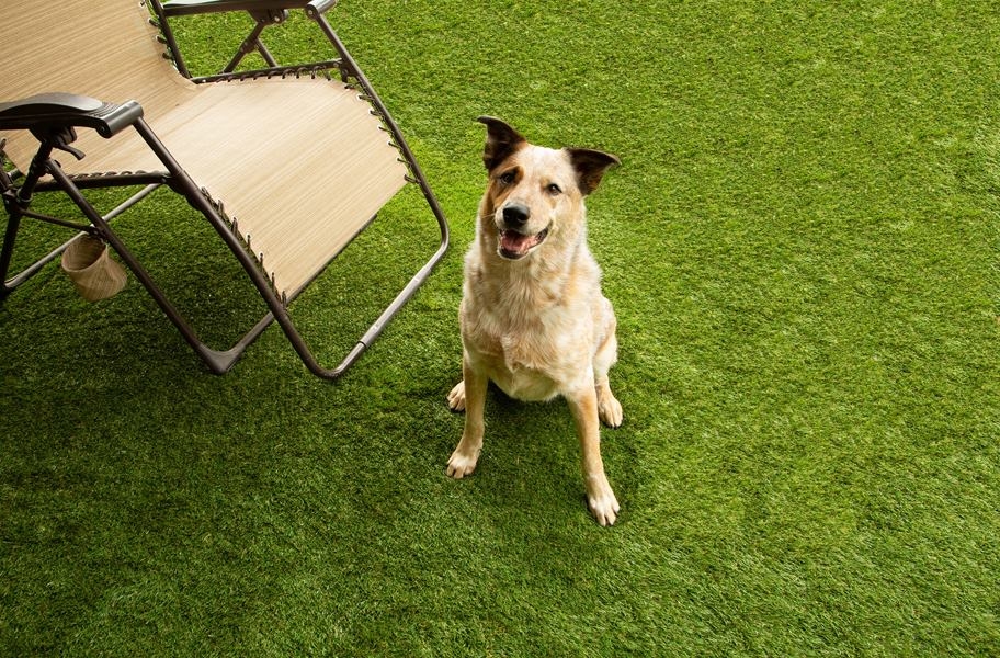What is the best artificial grass for residential use? California