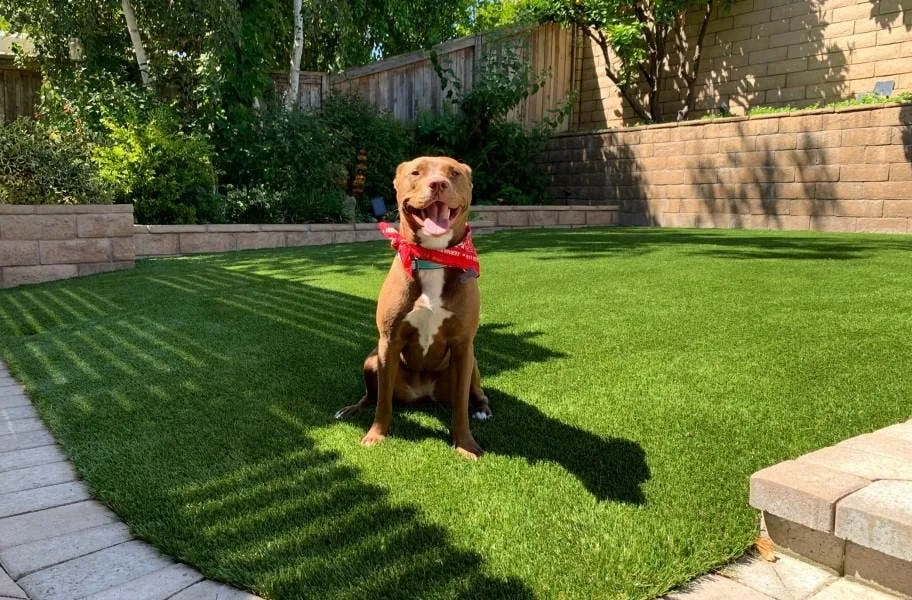 Optimum Flow™ Turf Rolls