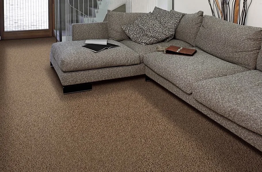 Air.o Fresh Start I Carpet with Pad