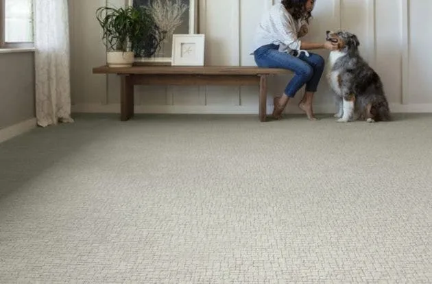 Woman on a bench petting a dog on Anderson Tuftex Faux Paw patterned carpet