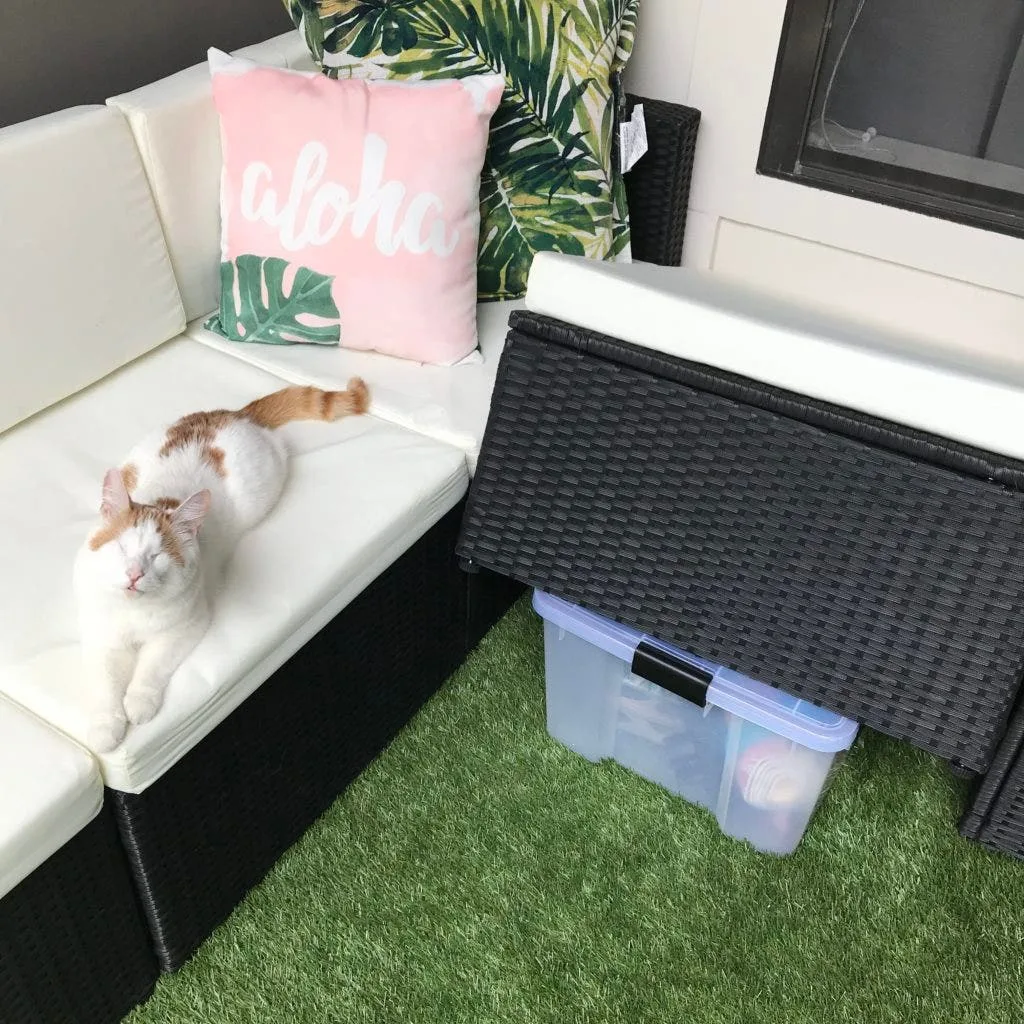 Shop Newport Turf Rolls Cat on couch on apartment balcony