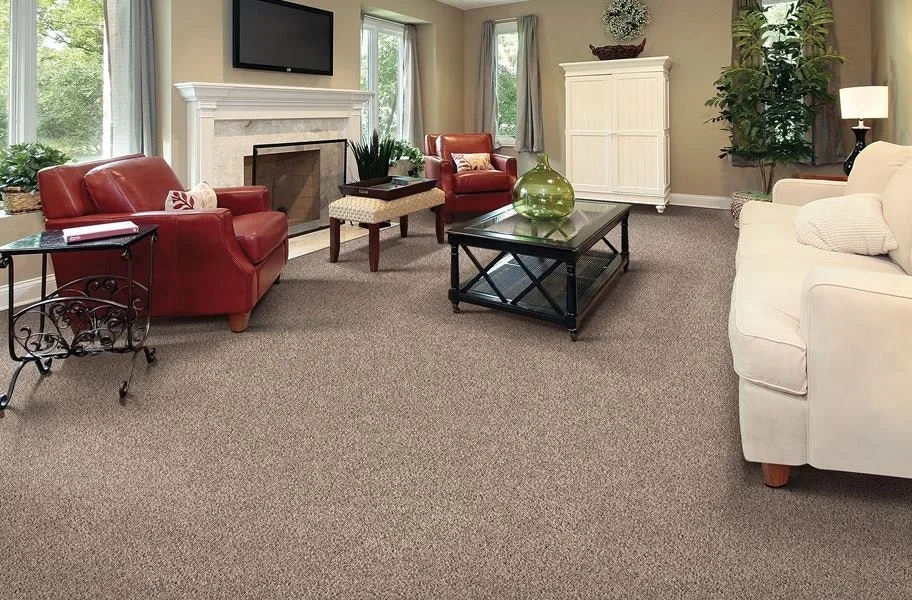 buy one, get one sales gimmick- room 2: Air.o Gentle Breeze Carpet with Pad