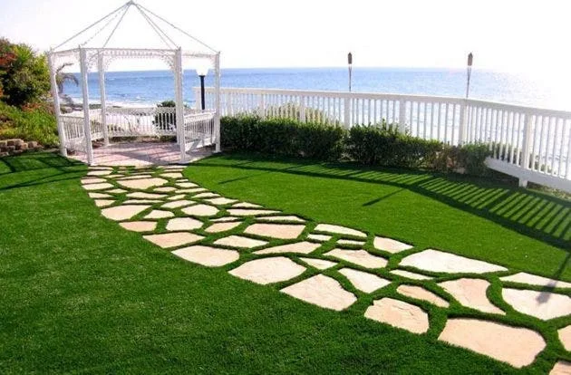 Daytona Turf Rolls