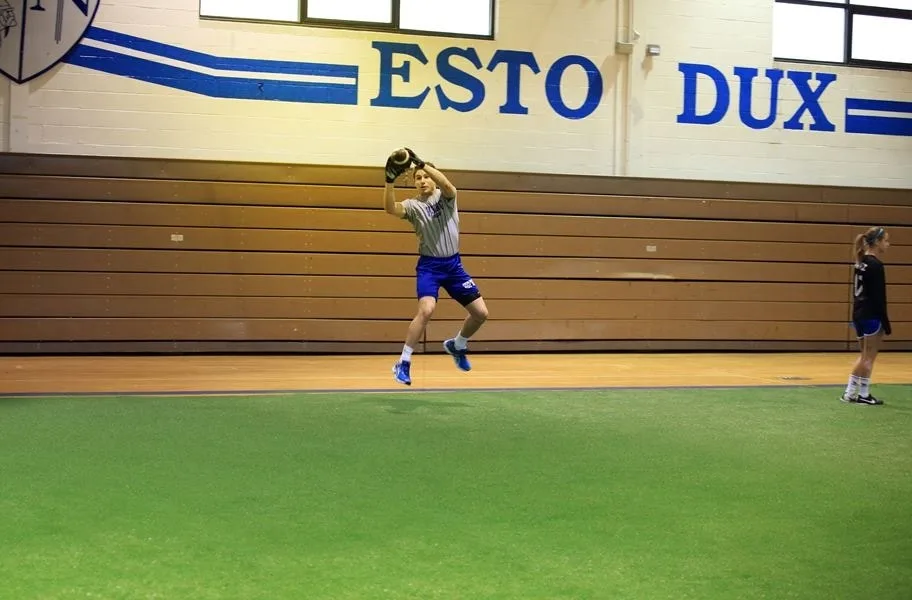 Elevate Turf Rolls