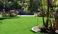Landscape Turf