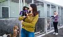 Dog Kennel Flooring