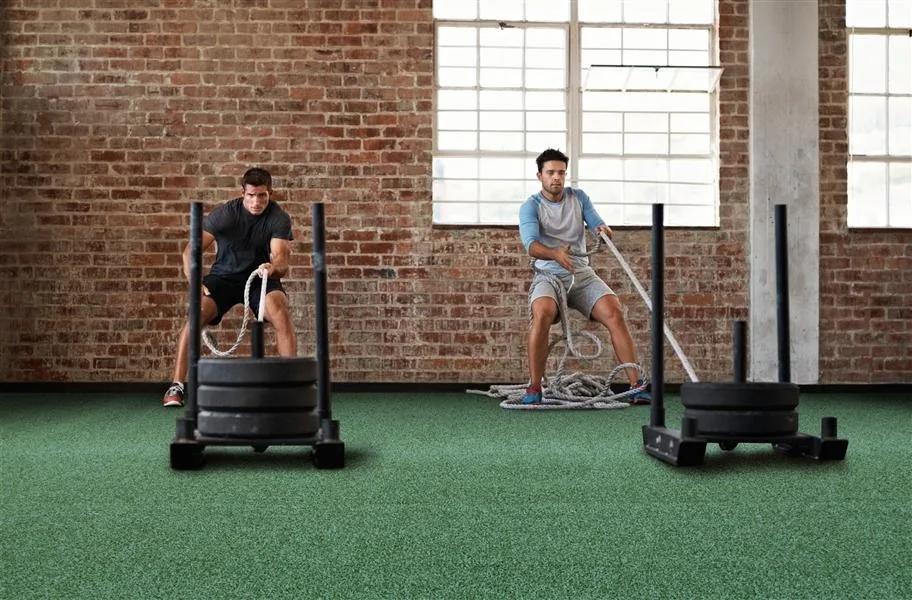 Intensify Turf Rolls