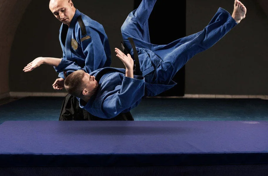 advanced-gym-guide Looking for advanced gymnastics mats? Check out our buying guide to find the best mats for your skill level. Practice with safety in mind.