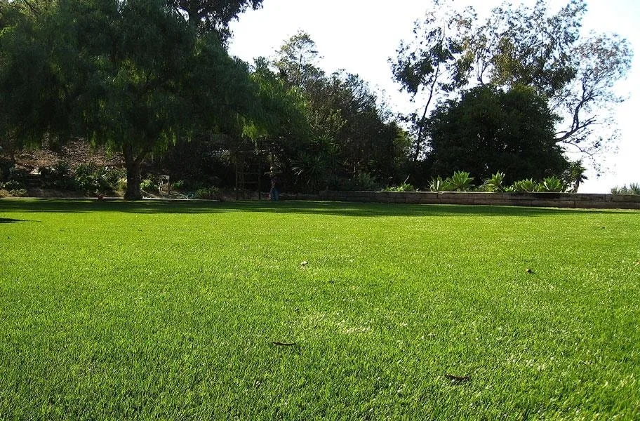 Newport Turf Rolls