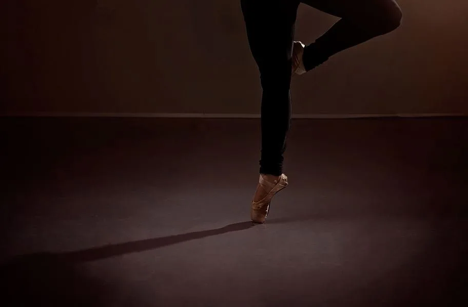 Rosco Adagio Tour Roll
