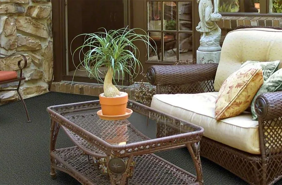 Shaw Gardenscape Outdoor Carpet