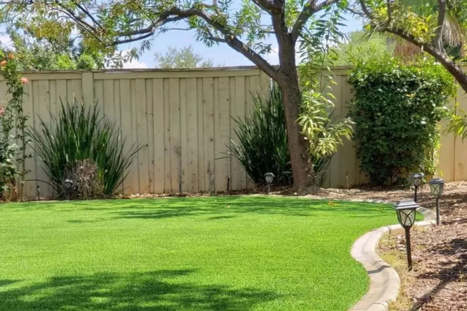 A well-manicured backyard lawn featuring a vibrant installation of artificial turf. The low-maintenance synthetic grass provides a lush, year-round green surface, bordered by a curved cement edge, landscaping plants, and a wooden fence.