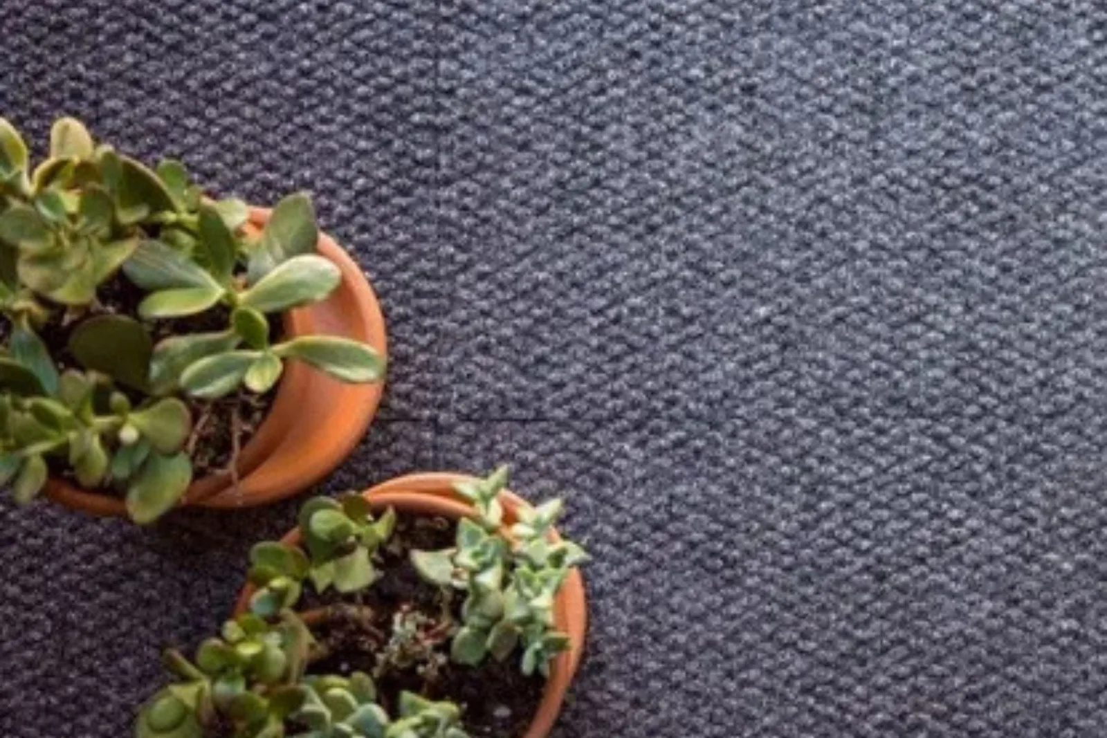Close-up of a soft and durable dark gray textured carpet, a versatile and cozy flooring solution for any residential space.