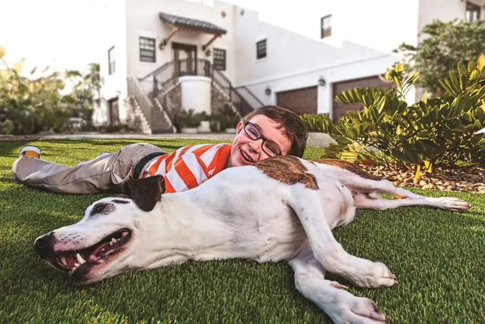 Pet-friendly artificial grass provides a durable, low-maintenance, and comfortable synthetic turf surface for both children and dogs to play on in a residential front yard.