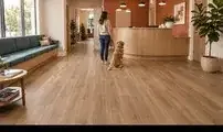 Veterinary Clinic Flooring