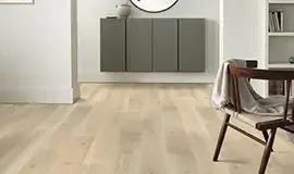 Wood & Laminate Flooring