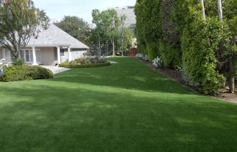 Artificial Grass